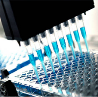 biologics integrity testing